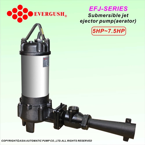 Bơm chìm Evergush