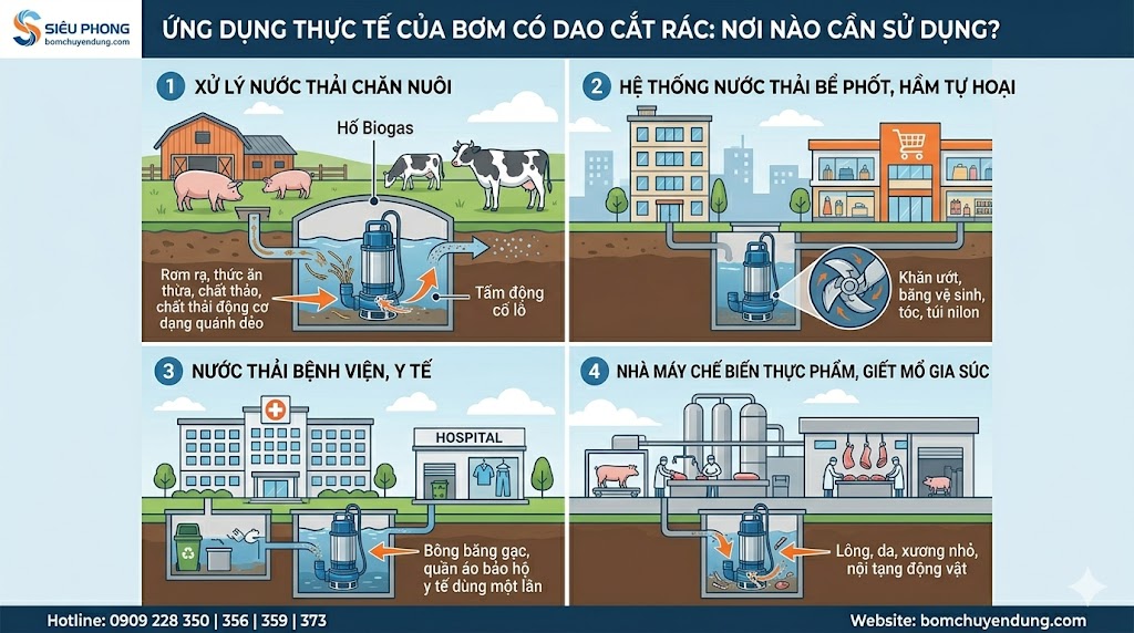 bom-chim-co-dao-cat-rac-02