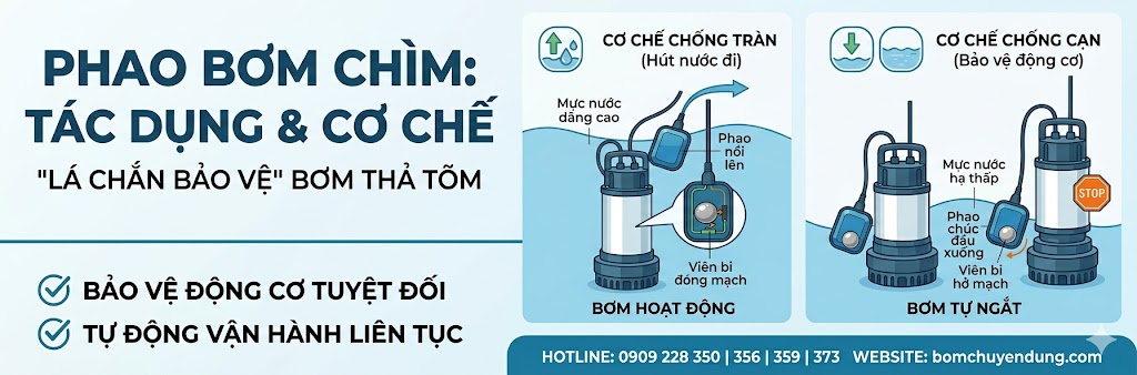 bom-chim-co-phao-bom-chim-khong-phao-02