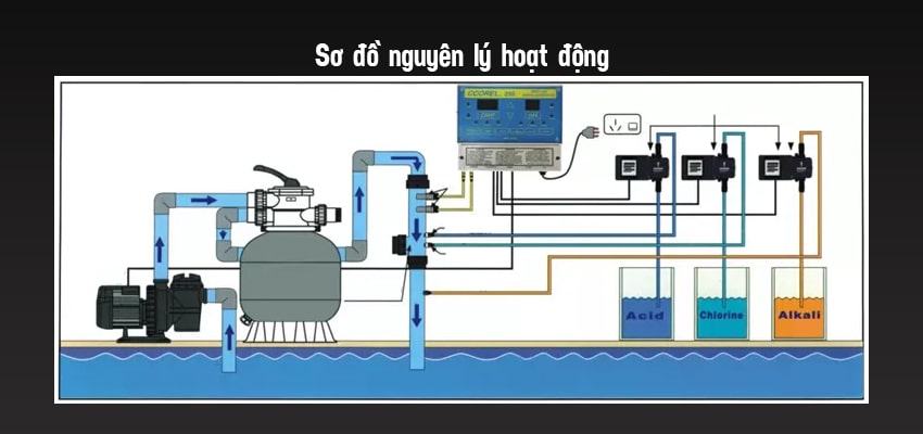 Bơm định lượng Blue White: Sơ đồ nguyên lý hoạt động