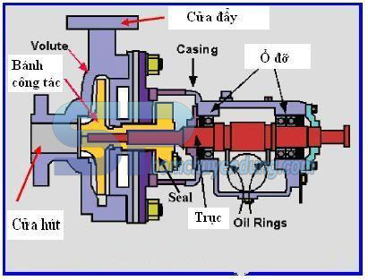 Cấu tạo cơ bản của máy bơm ly tâm
