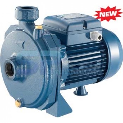 Máy Bơm Ly Tâm Dân Dụng Đầu Gang Pentax CM 100 (1HP)