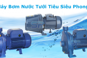 Máy bom nước tưới cây