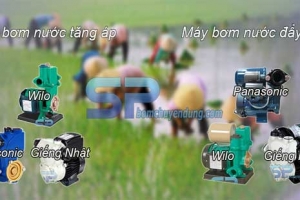 Siêu Phong phân phối máy bơm nước các loại