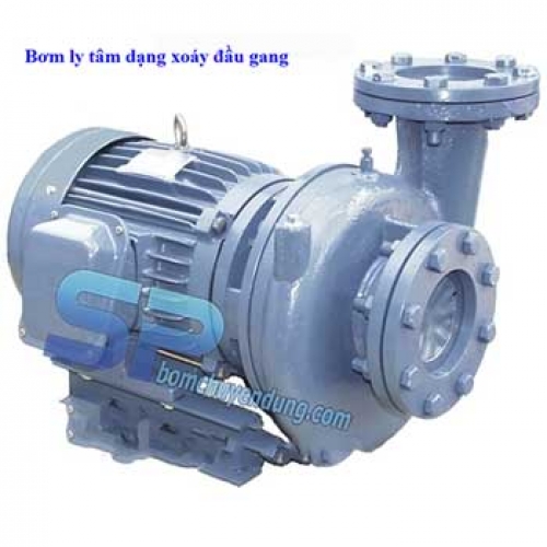Máy bơm ly tâm dạng xoáy đầu gang TECO HVP350 - 11.5 20